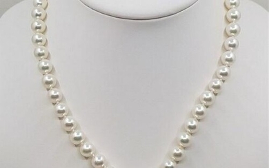925 Silver - Top grade 8x9mm Akoya Pearls - Necklace