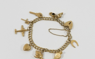 A 9 carat gold charm bracelet, the double curb link bracelet...