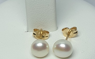 A pair of new natural pearl earrings in white tone in 14K yellow gold....