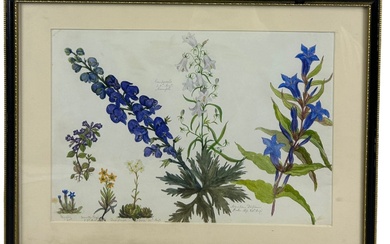 AN EARLY 19TH CENTURY WATERCOLOUR BY ALICE HENRIETTA HOPE...