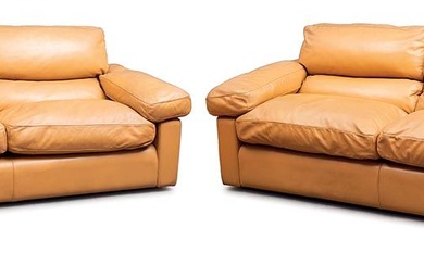 Coppia di divani di marca Frau, modello Petronio, designer Tito Agnoli
