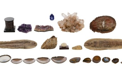 Egyptian Lapis Luzuli Scarab and Fossil, Geode and Crystal Assortment
