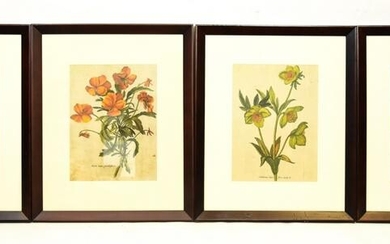 Four Framed 18th Century Style Botanical Prints