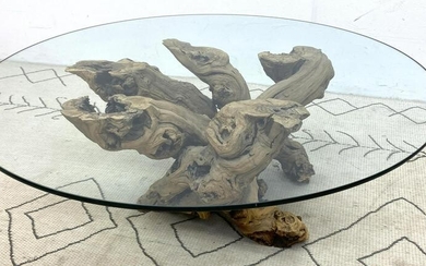 Freeform Twisted Root Coffee Cocktail Table with Glass