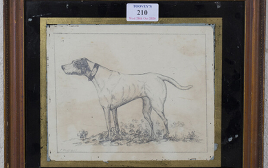 J. Webb - Study of a Hound wearing a Collar inscribed 'E. Bell 1794', pencil drawing, 16cm x 20cm, w
