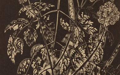 John Nash CBE RA, British 1893-1977, Hemlock (from William Dallimore, Poisonous Plants,...