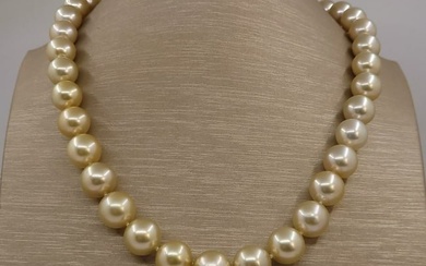 Necklace - PSL Certified Aurora Moon Rainbow - 10x12mm - Golden South Sea Pearls, Strongest Teri