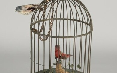 Old brass bird cage with play equipment. Birds move and