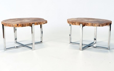 PAIR OF PETRIFIED WOOD END TABLES ON CHROME BASES