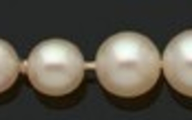 «PERLES FINES» Rang de 134 perles fines en... - Lot 10 - Aguttes