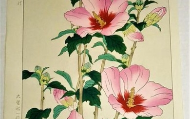 SHODO KAWARAZAKI: hibiscus-mukuge