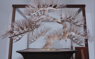 STERLING SILVER JAPANESE BONSAI TREE BY MITSUNORI MASTERLY HAND- CRAFTED WITH DISPLAY CASE