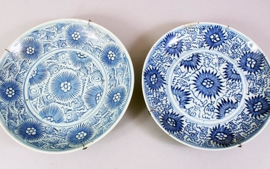 TWO 18TH / 19TH CENTURY CHINESE BLUE & WHITE PORCELAIN