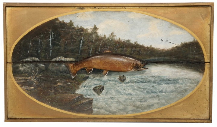VICTORIAN TAXIDERMY FISH ON PAINTED BACKGROUND