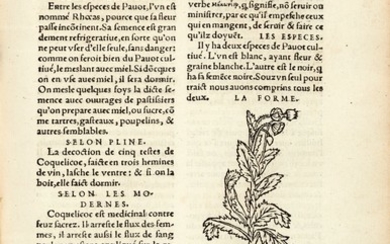 Fuchs | L'Histoire Des Plantes mis en commentaires, 1550