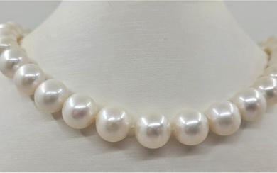 12x14mm White Edison Pearls - 14 kt. White gold - Necklace