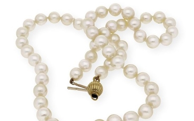 18 kt. Akoya pearl, Gold, Yellow gold - Necklace