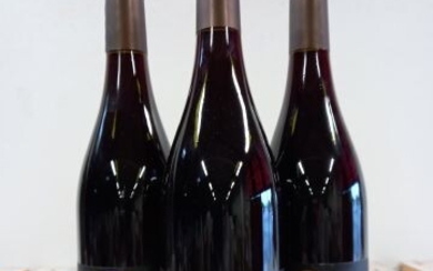 3 bouteilles de Hautes Côtes de Beaune 2018... - Lot 11 - Enchères Maisons-Laffitte