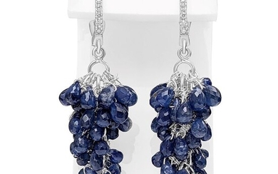 40.75 Carat Blue Sapphire and 0.20 Diamonds Earrings - 18 kt. White gold - Earrings - Diamonds
