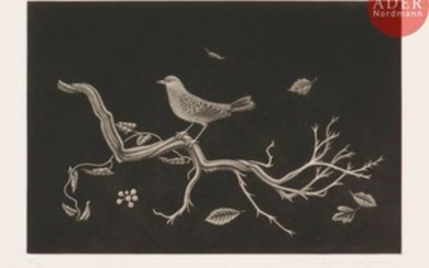 Kiyoshi Hasegawa (1891 1980) Oiseau sur racine. 19…