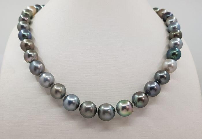 8.5x12mm Multi Coloured Tahitian Pearls - 14 kt. White