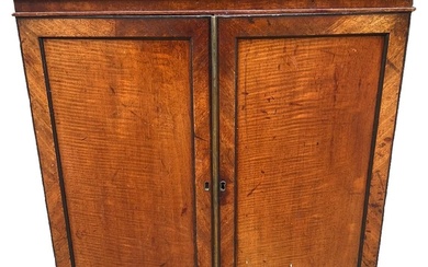 A 19TH CENTURY MAHOGANY COLLECTOR’S CABINET The pair of...