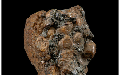 Brenham Meteorite Pallasite, PMG-an Kansas, USA - (37° 34'...