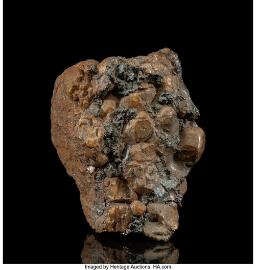 Brenham Meteorite Pallasite, PMG-an Kansas, USA - (37° 34'...