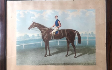 Charles HUNT. Jockey et son cheval "La fille de l'air". Gravure en couleur. XIXe siècle....