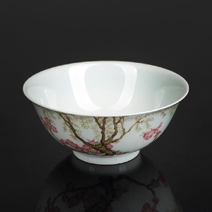 Chinese famille rose porcelain bowl