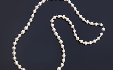 Collier Opéra en chute de perles (9 mm à... - Lot 211 - Coutau-Bégarie