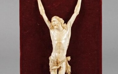 Corpus Christi Ivory