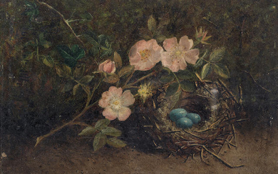English School (19th Century) Still life of dog roses and a bird's nest