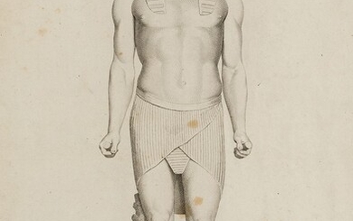 GIOVANNI VOLPATO Y RAFFAELLO MORGHEN (18th century) "L´ idole Egiptienne du Capitole"