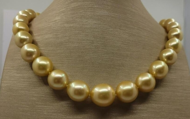 Large 12x16mm Deep Golden South Sea Pearls - Necklace
