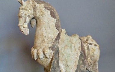 Mingqi - Pottery - Caparisoned Northern Wei parade horse, with TL test - China - Southern and Northern Dynasties (420-589)