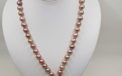 NO RESERVE PRICE - 925 Silver - 9x10mm Beautiful Colour Edison Pearls - Necklace