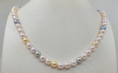Necklace - 7x7.5mm Multi Akoya And Golden Pearls