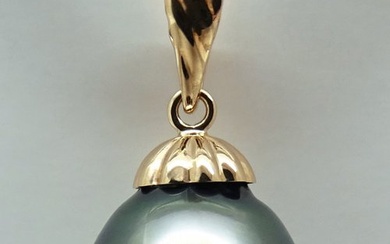 No Reserve Price- Tahitian Pearl, Dark Peacock, Drop-Shaped, 11.28 X 12.1 mm - 18kt gold - Yellow gold - Pendant