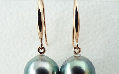 No Reserve Price - Tahitian Pearls, Bright Aqua Peacock Dream, Drop Shaped 9.39 X 9.88mm, 9.39 - 18 kt. Pink gold - Earrings