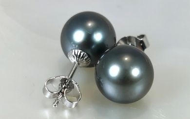 No Reserve Price - Tahitian pearls Rd Ø 9,5x10 mm - 18 kt. Tahitian pearls, White gold - Earrings