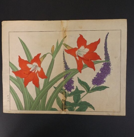 Sakai Hoitsu, Lilies Royal Candle Flower 1stPrint 1907