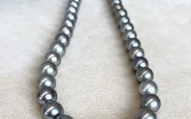 Silver, Tahitian pearls,#No Reserve Price# Light grey natural colour Ø 9,3 x 11,51 mm - Necklace