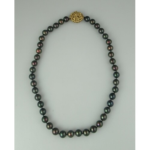 String of black cultured pearls with 14ct gold clasp. Lengt...