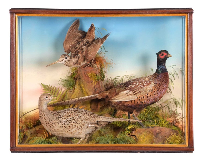 Taxidermy: A Late Victorian Cased Pair of Ring-necked Pheasants and...