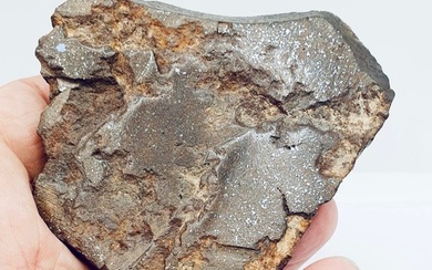 Unclassified NWA meteorite Chondrite Meteorite - Height: 100 mm - Width: 80 mm - 333 g - (1)