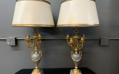Very Fine 19th C French Gilt Bronze Marble Lamps