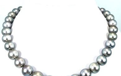 silver grey RD Ø 11,2x13,6 mm - 18 kt. Tahitian pearls, White gold - Necklace