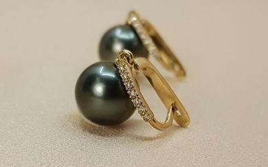 10x11mm Round Tahitian Pearls - 14 kt. Yellow gold - Earrings - 0.11 ct