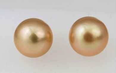 11x12mm Round Deep Golden South Sea Pearls - 14 kt.